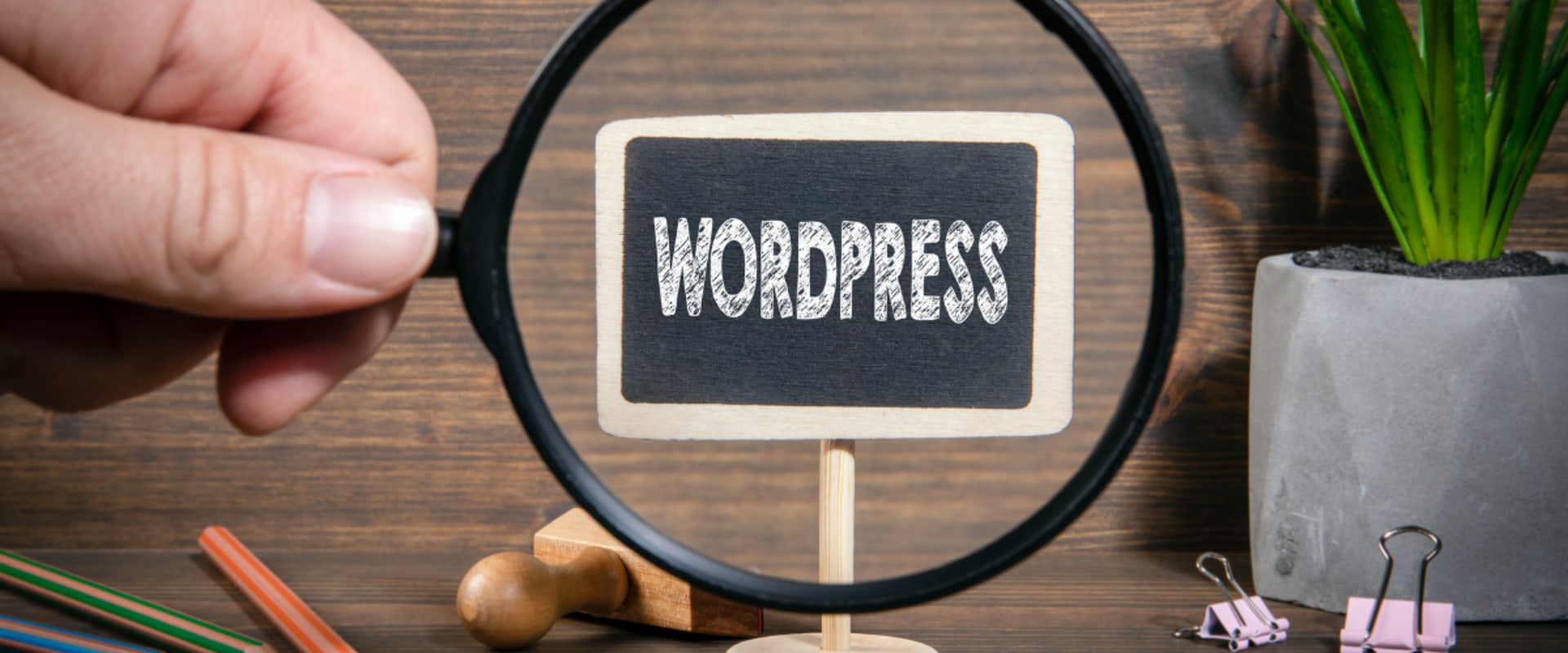 So steigern Sie das Suchmaschinenranking Ihrer Website mit Link Reclamation