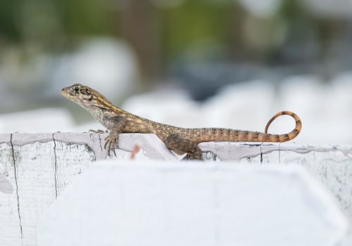 Den Unterschied zwischen Long-Tail- und Short-Tail-Keywords für den SEO-Erfolg verstehen